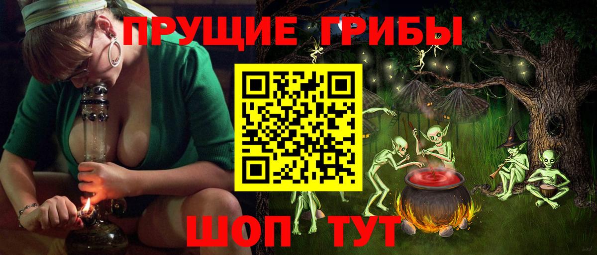 Алексеевка  Галлюциногенные грибы Cubensis  Вход с VPN 