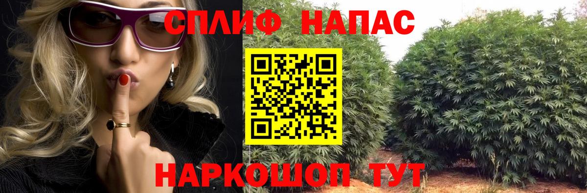 Канабис Bruce Banner Алексеевка